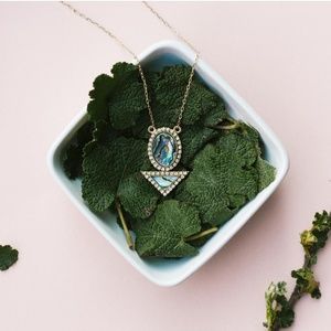 Shelly Brown Abalone long necklace